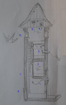 Illustration de l'ancienne tour électrique de Dalhem aménagée pour les oiseaux et les chauves-souris — © Julia Luxen Natagora
