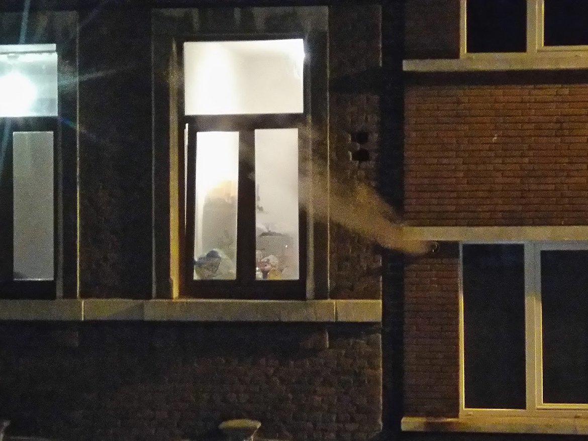 Limiter l'impact de l'éclairage intérieur qui donne vers l'extérieur— © Julia Luxen