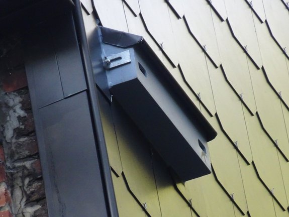 Nichoir dans un mur isolé avec bardage en ardoise à Jette. — © Martine Wauters
