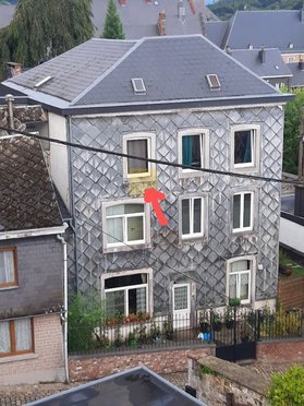 Nid occupé à Stavelot — © Julia Luxen