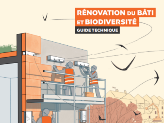 Guide technique LPO (Fr) : Rénovation du bâti et biodiversité — © LPO