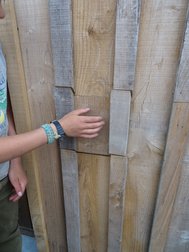Labyrinthe avec microgîtes en béton de bois pour chauves-souris à l'arrière du bardage en bois— Bos't Ename — © Martine Wauters