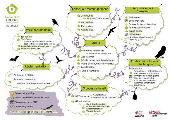 Carte mentale 2024 © Cellule Biodiversité dans le bâti — Natagora