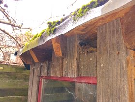 Cavités-nichoir intégrées à la paroi d'un cabanon de jardin © Murielle Skelton