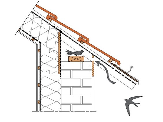 © MT03-01 WAUTERS Christelle, MAYERUS Nolan, Cellule Biodiversité dans le Bâti de Natagora — CC BY-NC-SA*