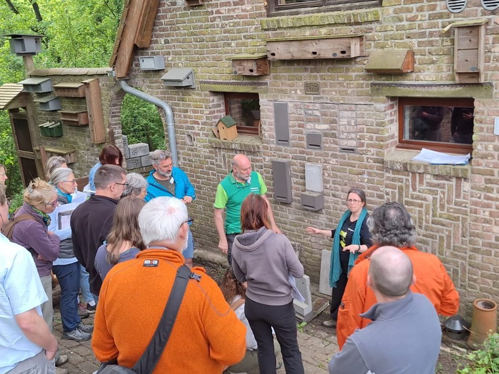Visite de la Faunahuis ce 3 mai 2025 avec les ambassadeurs du Réseau nature et les volontaires de la Cellule Biodiversité dans le bâti de Natagora — © Filip Hebbrecht