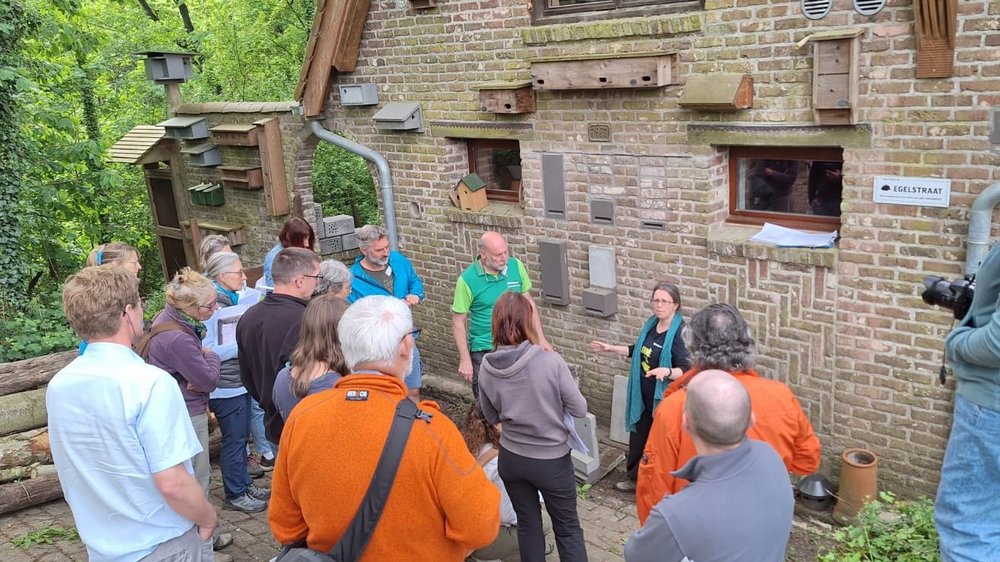Visite de la Faunahuis ce 3 mai 2025 avec les ambassadeurs du Réseau nature et les volontaires de la Cellule Biodiversité dans le bâti de Natagora — © Filip Hebbrecht