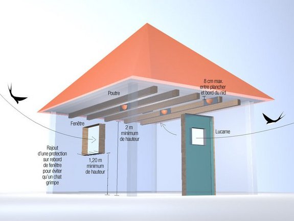 3D avec conseils — abri pour Hirondelle rustique — © Serge Briere