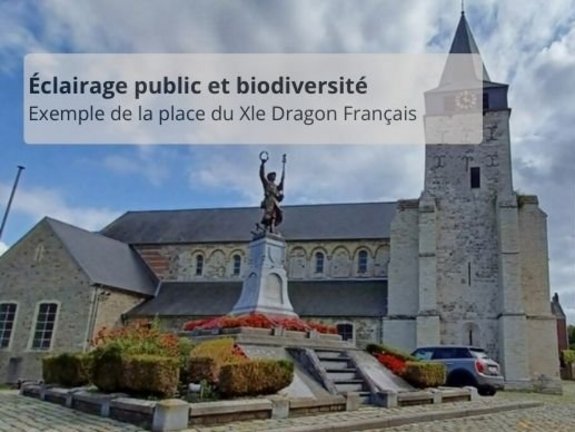 Éclairage public et biodiversité. Exemple de la place du Xle Dragon - © AC Orp-Jauche Éclairage public et biodiversité. Exemple de la place du Xle Dragon - © AC Orp-Jauche