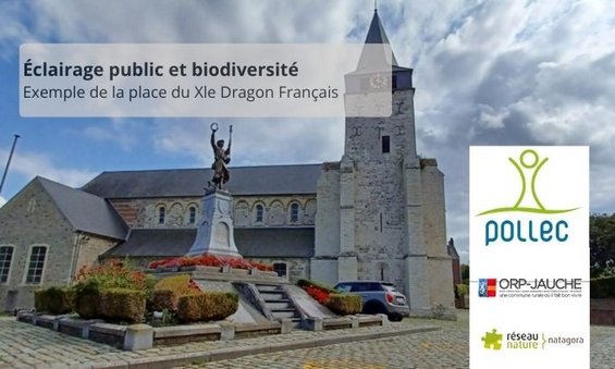 Éclairage public et biodiversité. Exemple de la place du Xle Dragon - © AC Orp-Jauche