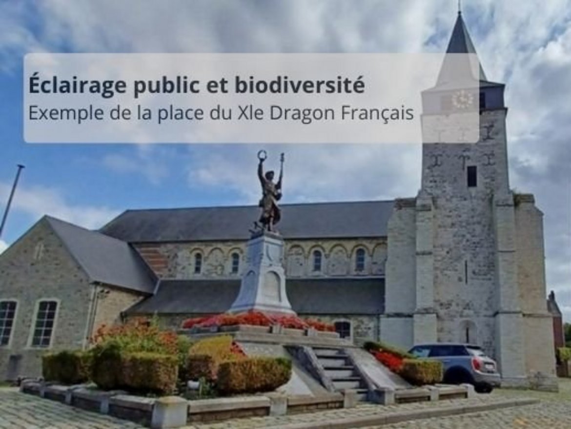 Éclairage public et biodiversité. Exemple de la place du Xle Dragon - © AC Orp-Jauche