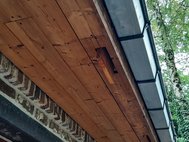 Accès rugueux pour faciliter le passage des chauves-souris vers le pied de versant, Faunahuis à Brakel— © Julie Van Houtryve, Vogelbescherming.be