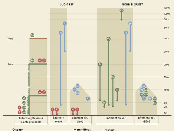 Graphique avec les hauteurs et orientation des aménagements biodiversité dans le bâti — © Synchoon, Nest Natuurinclusief, Vogelbescherming Nederland, traduction Natagora