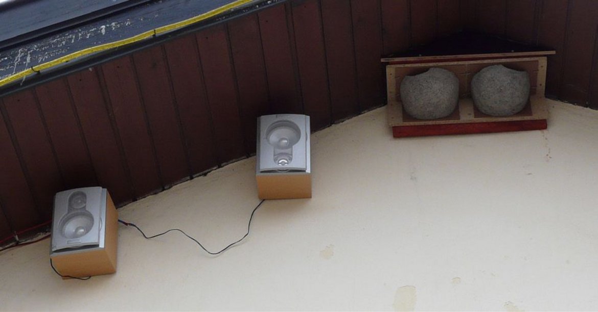 Diffusion de chant d'Hirondelles de fenêtre — © Charle Carels