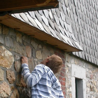 Bardage accueillant pour les chauves-souris — Bâtiment à Hombourg — © Gilles San Martin
