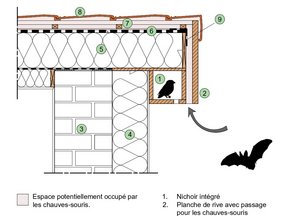MT02.03 Rives et débords de toiture : Espace pour oiseaux au niveau du débord — Espace pour chauves-souris à l'arrière de la planche de rive et de la couverture. — © LUXEN-MAYERUS, bati.natagora.be, janv. 2026