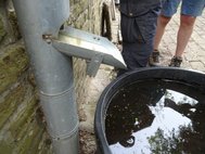 Système pour récolter les eaux de pluie au niveau du tuyau de descente — Faunahuis — © Martine Wauters
