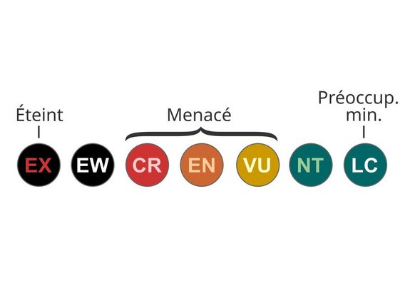 Résumé des catégories de la liste rouge 2006. — UICN France