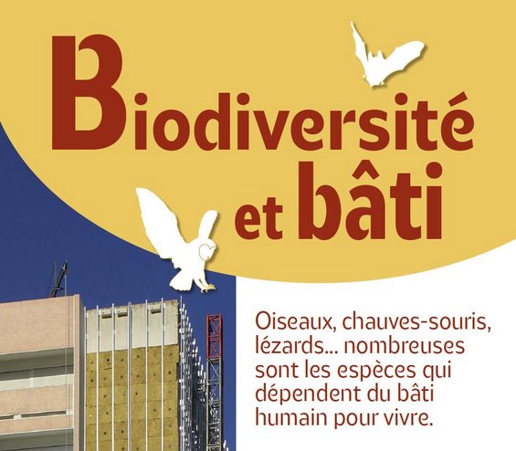 Capture d'écran de l'exposition Biodiversité et bâti — ©  LPO Poitou-Charentes, Région Nouvelle-Aquitaine, Ville e Poitiers