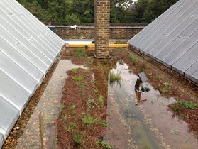 Toiture plate à rétention d'eau végétalisée — Victoria & Albert Museum — © Clare Dinham