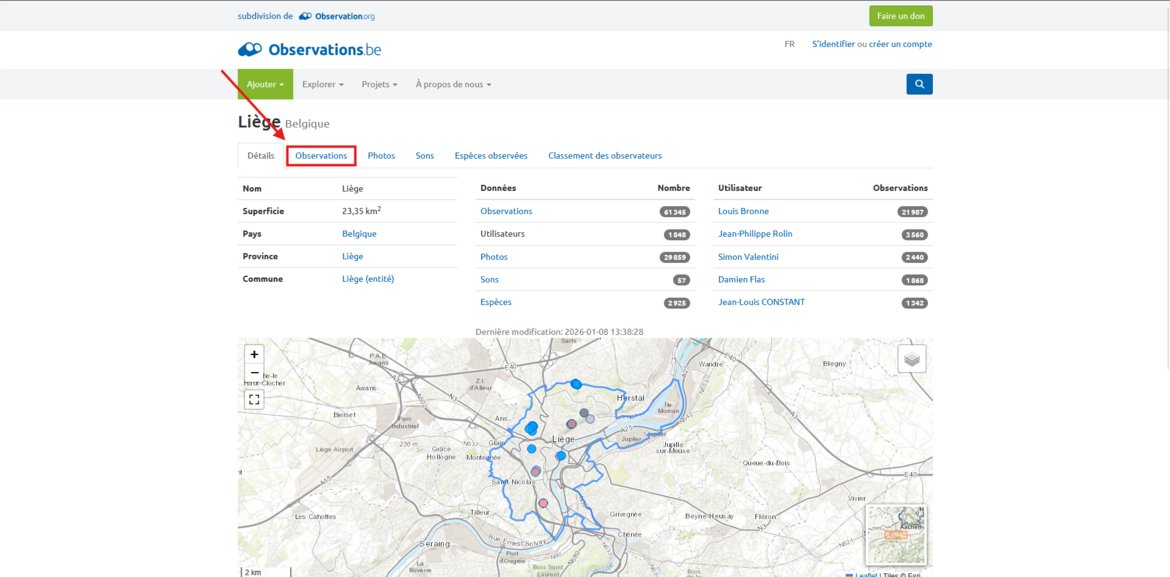 Capture d’écran des informations générales de la localité de Liège — © observations.be