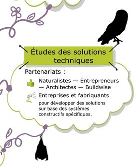 Carte mentale © Cellule Biodiversité dans le bâti — Natagora