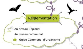 Carte mentale © Cellule Biodiversité dans le bâti — Natagora
