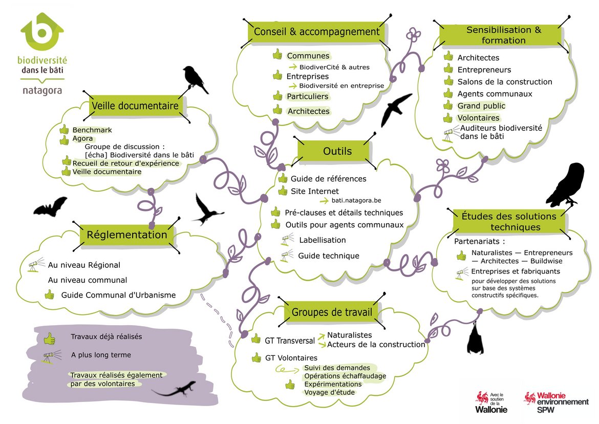 Carte mentale © Cellule Biodiversité dans le bâti — Natagora