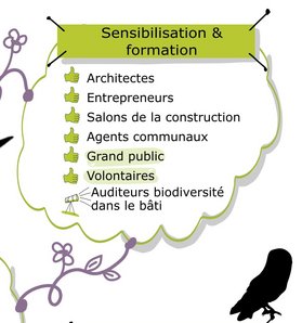 Carte mentale © Cellule Biodiversité dans le bâti — Natagora
