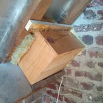Vue du nichoir réalisé avec une boîte à vin apposé à l'intérieur avec accès depuis la rive du mur pignon avant isolation. Vue depuis l'intérieur. — © Martine Wauters