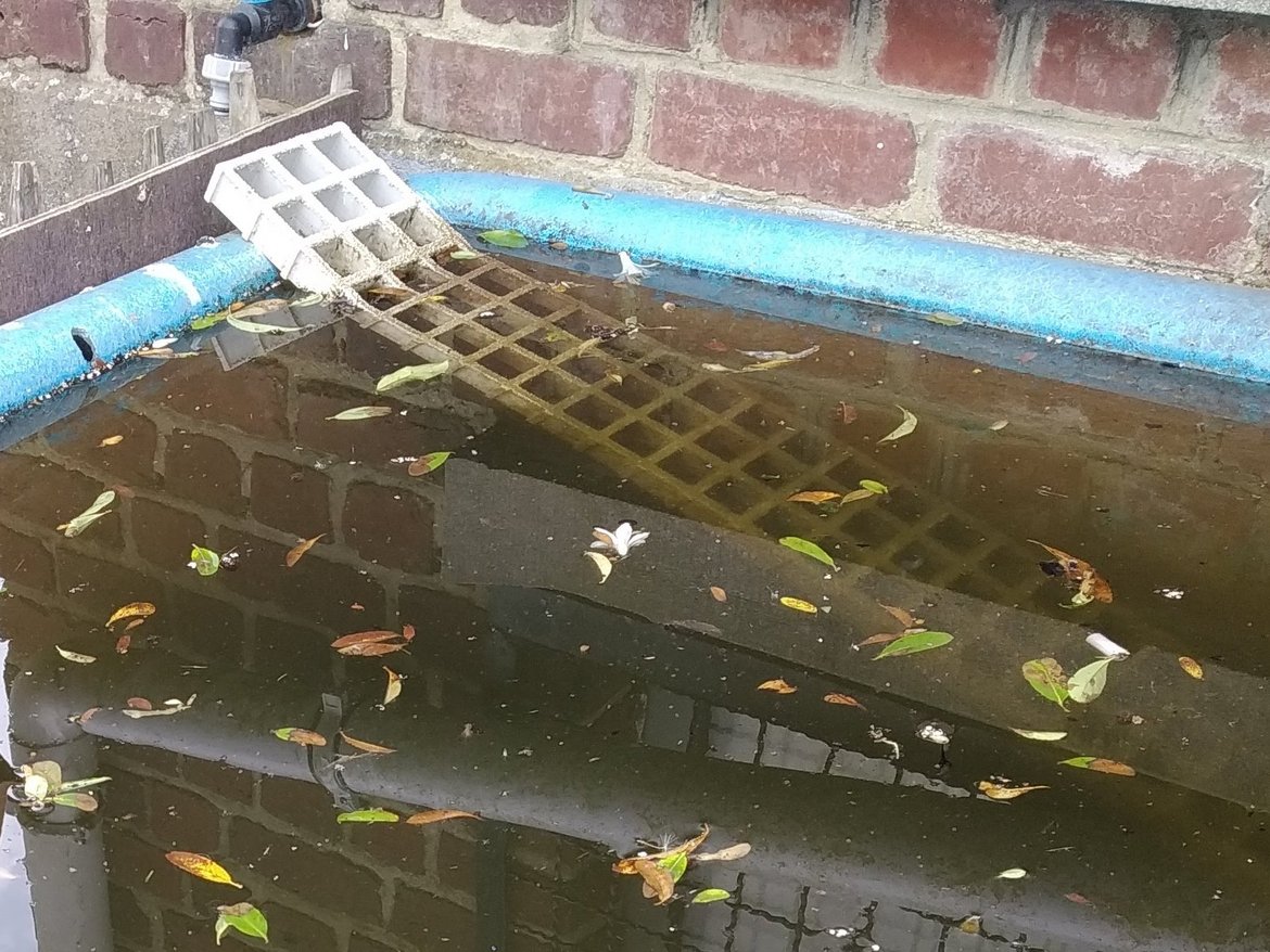 Éviter les pièges au niveau d’un réservoir d’eau en installant une grille. — © Julia Luxen