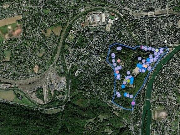 Capture d'écran pour explorer les espèces recensées dans l'environnement— Site de la Citadelle de Namur septembre 2024 — © observations.be