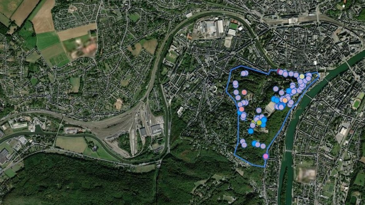 Capture d'écran pour explorer les espèces recensées dans l'environnement— Site de la Citadelle de Namur septembre 2024 — © observations.be Capture d'écran pour explorer les espèces recensées dans l'environnement— Site de la Citadelle de Namur septembre 2024 — © observations.be