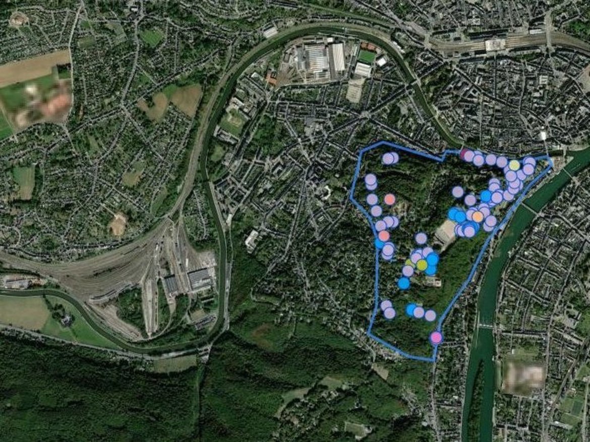 Capture d'écran pour explorer les espèces recensées dans l'environnement— Site de la Citadelle de Namur septembre 2024 — © observations.be