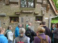 Visite de la Faunahuis ce 3 mai 2025 avec les ambassadeurs du Réseau nature et les volontaires de la Cellule Biodiversité dans le bâti de Natagora — © Bénédicte Charlier