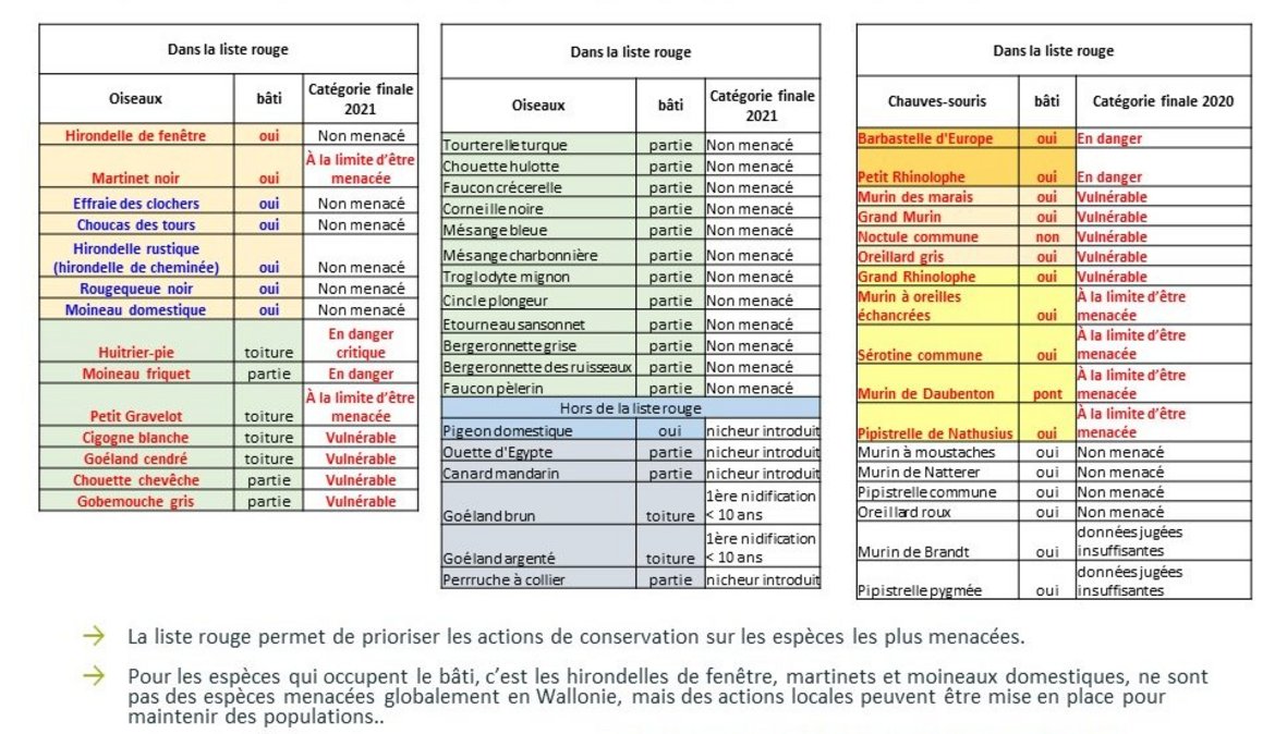 Liste rouge, Aves — Pôle ornithologique de Natagora & Plecotus — Pôle chauves-souris de Natagora.