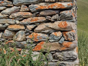 Lichens sur mur en pierres sèches © Murielle Skelton