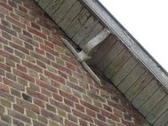 Cavité occupée par une mésange sur le haut du mur, au niveau du débord de toiture — 3 mai 2025 — © Martine Wauters